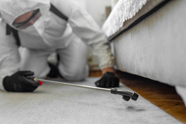 Professional Pest Control technician working in Jackson County County, OR
